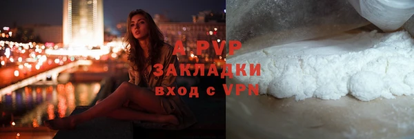 сатива Баксан