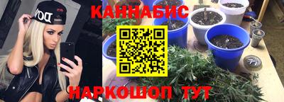 дурь Боровичи