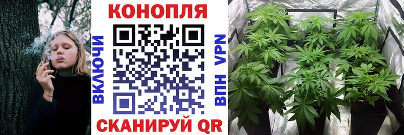 Конопля White Widow  где найти   Вольск 